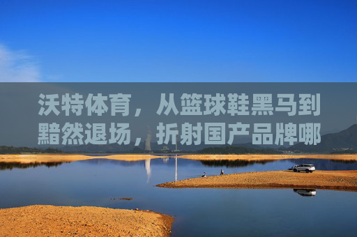 沃特体育，从篮球鞋黑马到黯然退场，折射国产品牌哪些困局？沃特体育从篮球鞋黑马到退场，国产品牌困局折射