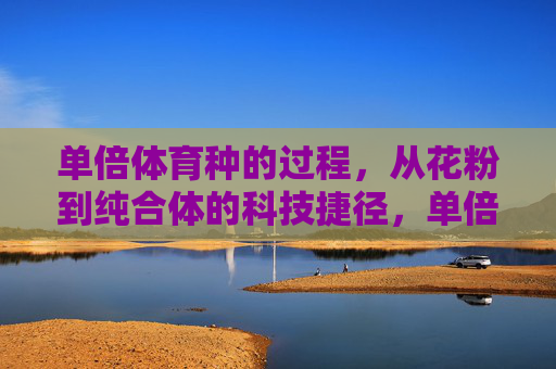 单倍体育种的过程,从花粉到纯合体的科技捷径,单倍体育种,花粉到纯合体的科技捷径 单倍体育种的过程,从花粉到纯合体的科技捷径,单倍体育种,花粉到纯合体的科技捷径