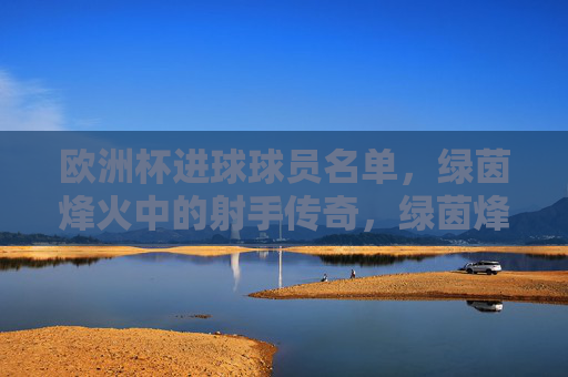 欧洲杯进球球员名单,绿茵烽火中的射手传奇,绿茵烽火中的欧洲杯射手传奇 欧洲杯进球球员名单,绿茵烽火中的射手传奇,绿茵烽火中的欧洲杯射手传奇