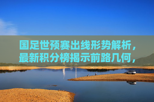 国足世预赛出线形势解析，最新积分榜揭示前路几何，国足世预赛出线形势，最新积分榜揭示前路几何