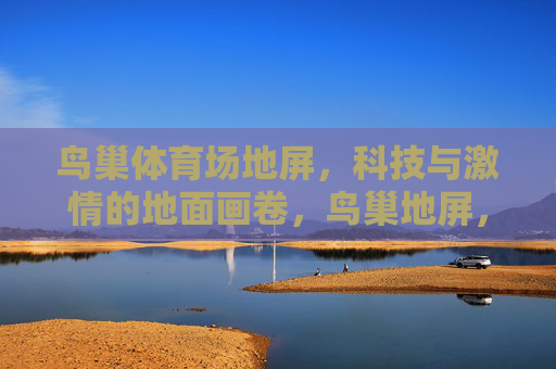 鸟巢体育场地屏,科技与激情的地面画卷,鸟巢地屏,科技激情绘就地面画卷 鸟巢体育场地屏,科技与激情的地面画卷,鸟巢地屏,科技激情绘就地面画卷