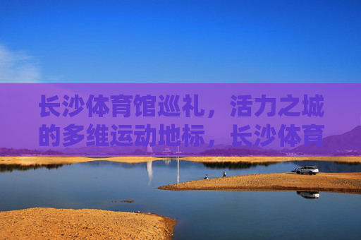 长沙体育馆巡礼，活力之城的多维运动地标，长沙体育馆，活力之城的多维运动地标