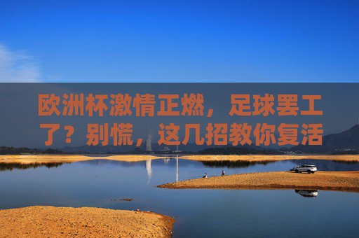 欧洲杯激情正燃，足球罢工了？别慌，这几招教你复活它！欧洲杯足球罢工？这几招教你复活它！