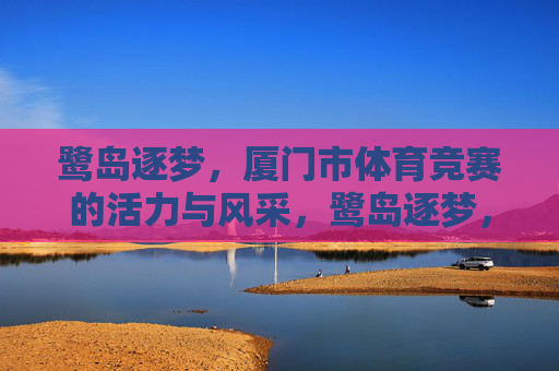 鹭岛逐梦，厦门市体育竞赛的活力与风采，鹭岛逐梦，体育竞赛的活力与风采