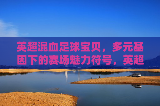 英超混血足球宝贝,多元基因下的赛场魅力符号,英超混血足球宝贝,多元基因的赛场魅力符号 英超混血足球宝贝,多元基因下的赛场魅力符号,英超混血足球宝贝,多元基因的赛场魅力符号