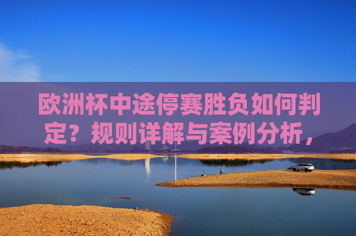 欧洲杯中途停赛胜负如何判定？规则详解与案例分析，欧洲杯中途停赛胜负判定规则与案例详解