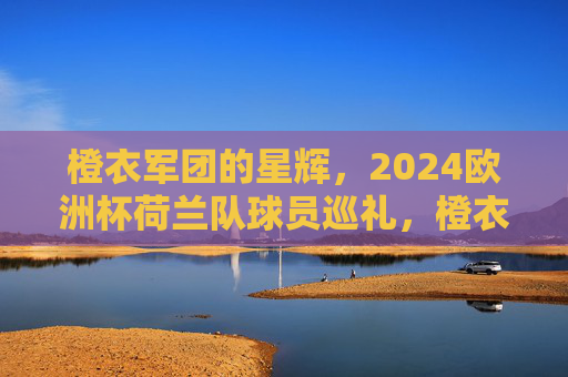 橙衣军团的星辉，2024欧洲杯荷兰队球员巡礼，橙衣军团星辉，2024欧洲杯球员巡礼