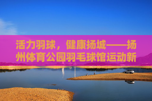 活力羽球，健康扬城——扬州体育公园羽毛球馆运动新地标，扬州体育公园羽毛球馆，活力羽球运动新地标