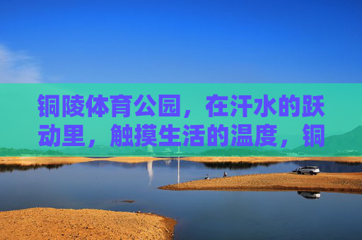 铜陵体育公园，在汗水的跃动里，触摸生活的温度，铜陵体育公园，汗水跃动里的生活温度