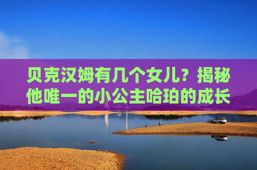 贝克汉姆有几个女儿?揭秘他唯一的小公主哈珀的成长故事,贝克汉姆唯一小公主哈珀的成长故事揭秘 贝克汉姆有几个女儿?揭秘他唯一的小公主哈珀的成长故事,贝克汉姆唯一小公主哈珀的成长故事揭秘