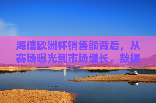 海信欧洲杯销售额背后，从赛场曝光到市场增长，数据与战略的双重奏，海信欧洲杯销售额增长，赛场曝光与数据战略的双重驱动