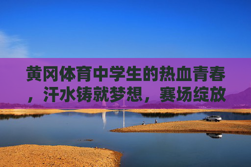 黄冈体育中学生的热血青春，汗水铸就梦想，赛场绽放光芒，黄冈体育中学生的热血赛场，青春逐梦，汗水铸光