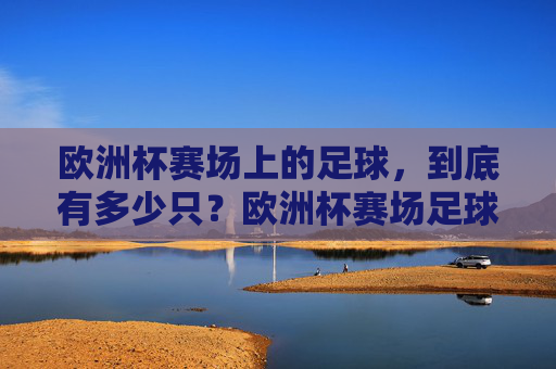 欧洲杯赛场上的足球，到底有多少只？欧洲杯赛场足球有多少只？