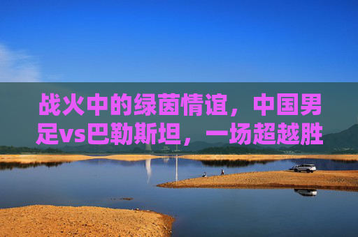 战火中的绿茵情谊，中国男足vs巴勒斯坦，一场超越胜负的足球对话，战火中的绿茵情谊，中国男足与巴勒斯坦的超越胜负足球对话