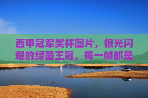西甲冠军奖杯图片,银光闪耀的绿茵王冠,每一帧都是热血传奇,银光闪耀的绿茵王冠,西甲冠军的热血传奇 西甲冠军奖杯图片,银光闪耀的绿茵王冠,每一帧都是热血传奇,银光闪耀的绿茵王冠,西甲冠军的热血传奇