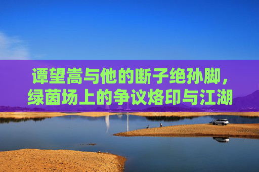 谭望嵩与他的断子绝孙脚,绿茵场上的争议烙印与江湖气,谭望嵩与断子绝孙脚,绿茵场的争议烙印与江湖气 谭望嵩与他的断子绝孙脚,绿茵场上的争议烙印与江湖气,谭望嵩与断子绝孙脚,绿茵场的争议烙印与江湖气