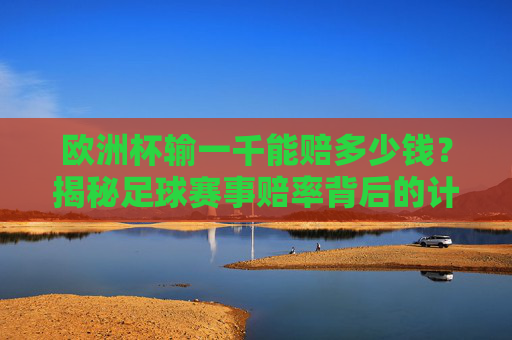 欧洲杯输一千能赔多少钱？揭秘足球赛事赔率背后的计算逻辑，欧洲杯输一千赔多少？揭秘赔率计算逻辑