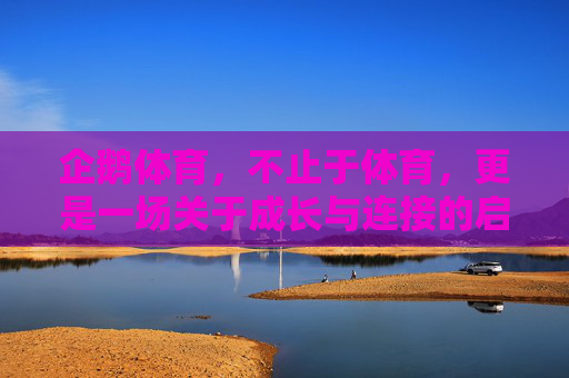企鹅体育，不止于体育，更是一场关于成长与连接的启示，企鹅体育，不止体育，成长与连接的启示