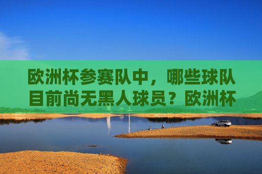 欧洲杯参赛队中，哪些球队目前尚无黑人球员？欧洲杯无黑人球员的参赛球队
