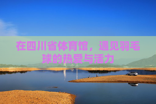 在四川省体育馆，遇见羽毛球的热爱与活力