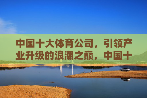 中国十大体育公司，引领产业升级的浪潮之巅，中国十大体育公司，引领产业升级浪潮之巅