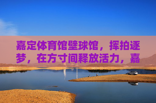 嘉定体育馆壁球馆，挥拍逐梦，在方寸间释放活力，嘉定体育馆壁球馆，挥拍逐梦，方寸间释放活力