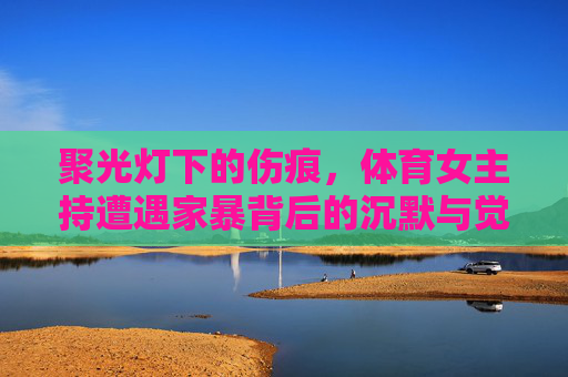 聚光灯下的伤痕，体育女主持遭遇家暴背后的沉默与觉醒，聚光灯下的伤痕，体育女主持家暴背后的沉默与觉醒