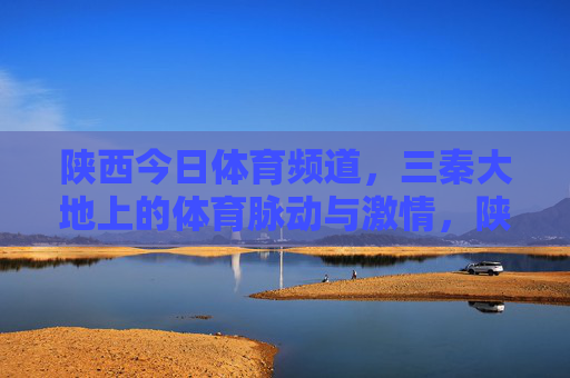陕西今日体育频道，三秦大地上的体育脉动与激情，陕西今日体育频道，三秦大地的体育脉动与激情