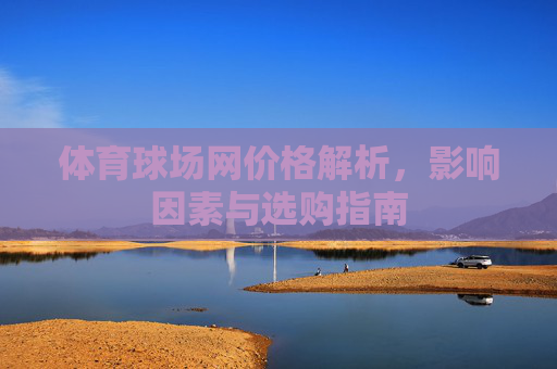 体育球场网价格解析，影响因素与选购指南