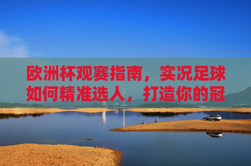 欧洲杯观赛指南，实况足球如何精准选人，打造你的冠军阵容，欧洲杯观赛指南，实况足球精准选人，打造冠军阵容