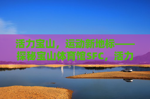 活力宝山，运动新地标——探秘宝山体育馆SFC，活力宝山，运动新地标——探秘宝山体育馆SFC