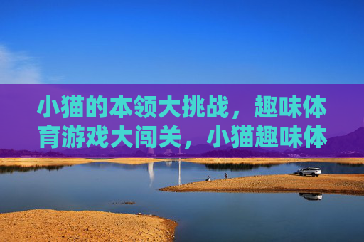 小猫的本领大挑战，趣味体育游戏大闯关，小猫趣味体育大闯关