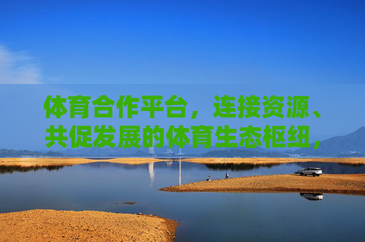 体育合作平台,连接资源、共促发展的体育生态枢纽,体育合作枢纽,连接资源共促发展 体育合作平台,连接资源、共促发展的体育生态枢纽,体育合作枢纽,连接资源共促发展
