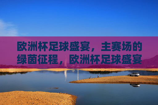 欧洲杯足球盛宴，主赛场的绿茵征程，欧洲杯足球盛宴，绿茵征程
