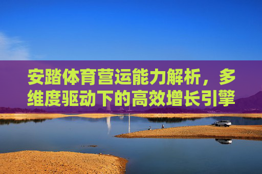 安踏体育营运能力解析，多维度驱动下的高效增长引擎，安踏体育营运能力，多维度驱动的高效增长引擎