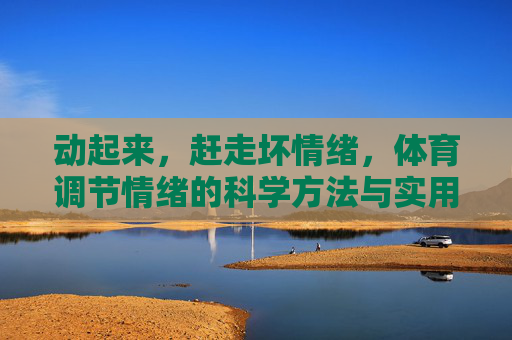 动起来，赶走坏情绪，体育调节情绪的科学方法与实用指南，动起来，体育调节情绪的科学方法与实用指南