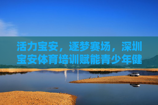 活力宝安，逐梦赛场，深圳宝安体育培训赋能青少年健康成长，活力宝安体育培训，赋能青少年逐梦成长