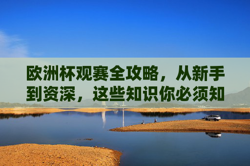 欧洲杯观赛全攻略,从新手到资深,这些知识你必须知道!欧洲杯观赛全攻略,从新手到资深必看知识 欧洲杯观赛全攻略,从新手到资深,这些知识你必须知道!欧洲杯观赛全攻略,从新手到资深必看知识