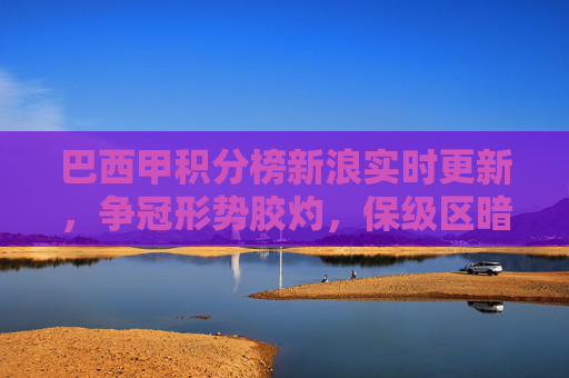 巴西甲积分榜新浪实时更新，争冠形势胶灼，保级区暗流涌动，巴西甲积分榜新浪实时更新，争冠形势胶灼保级区暗流涌动