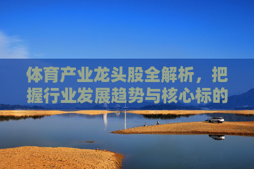 体育产业龙头股全解析,把握行业发展趋势与核心标的,体育产业龙头股全解析,趋势与核心标的 体育产业龙头股全解析,把握行业发展趋势与核心标的,体育产业龙头股全解析,趋势与核心标的