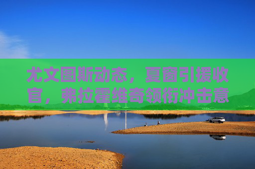 尤文图斯动态，夏窗引援收官，弗拉霍维奇领衔冲击意甲冠军，尤文图斯夏窗引援收官 弗拉霍维奇领衔冲击意甲冠军