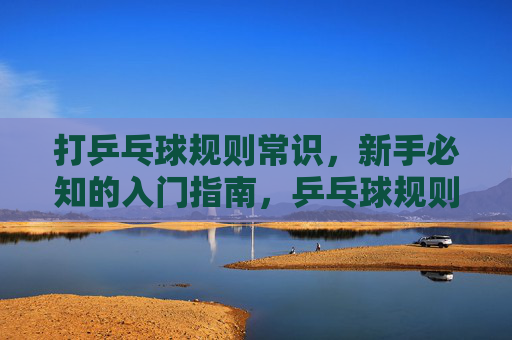 打乒乓球规则常识，新手必知的入门指南，乒乓球规则新手入门指南