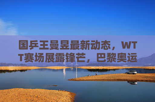 国乒王曼昱最新动态，WTT赛场展露锋芒，巴黎奥运备战进入关键阶段，王曼昱WTT赛场展露锋芒 巴黎奥运备战进入关键阶段