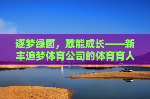 逐梦绿茵，赋能成长——新丰追梦体育公司的体育育人之路，逐梦绿茵，体育赋能成长之路