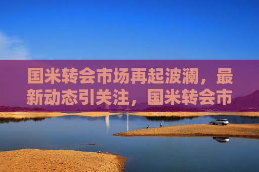 国米转会市场再起波澜,最新动态引关注,国米转会市场波澜再起 最新动态受关注 国米转会市场再起波澜,最新动态引关注,国米转会市场波澜再起 最新动态受关注