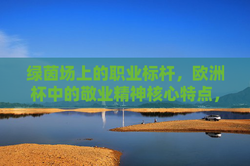 绿茵场上的职业标杆,欧洲杯中的敬业精神核心特点,绿茵场上的职业标杆,欧洲杯敬业精神的核心 绿茵场上的职业标杆,欧洲杯中的敬业精神核心特点,绿茵场上的职业标杆,欧洲杯敬业精神的核心