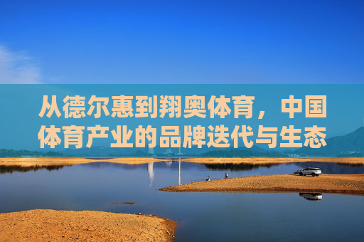 从德尔惠到翔奥体育，中国体育产业的品牌迭代与生态重构，从德尔惠到翔奥体育，中国体育产业的品牌迭代与生态重构