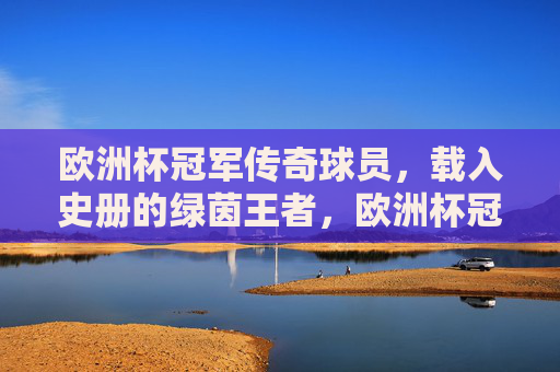 欧洲杯冠军传奇球员，载入史册的绿茵王者，欧洲杯冠军传奇，载入史册的绿茵王者