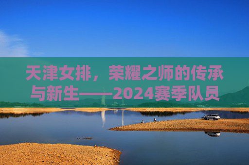 天津女排，荣耀之师的传承与新生——2024赛季队员名单巡礼，天津女排，传承与新生——2024赛季队员巡礼