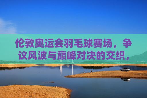 伦敦奥运会羽毛球赛场，争议风波与巅峰对决的交织，伦敦奥运羽毛球赛场，争议与巅峰对决的交织